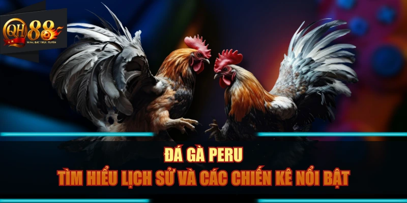 Đá Gà Peru - Tìm Hiểu Lịch Sử Và Các Chiến Kê Nổi Bật